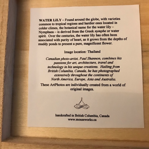 Water Lily Original Photo Art on Ceramic - Picture 6 of 6